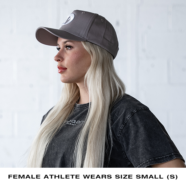 Dragon SnapBack Cap - Grey